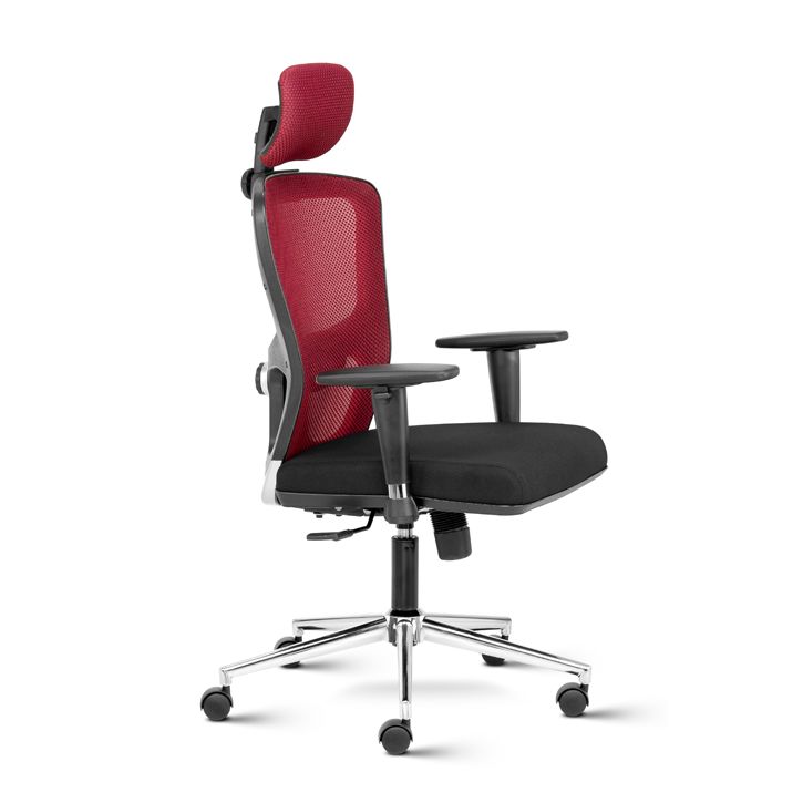 Fluid High Back Ergonomic Chair with adjustable Arms