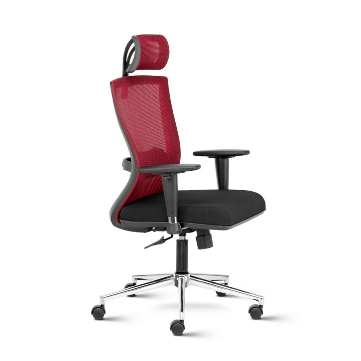 Spark High Back Ergonomic Chair with adjustable Arms