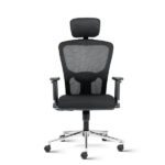 Fluid High Back Ergonomic Chair with adjustable Arms