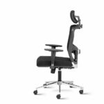 Fluid High Back Ergonomic Chair with adjustable Arms