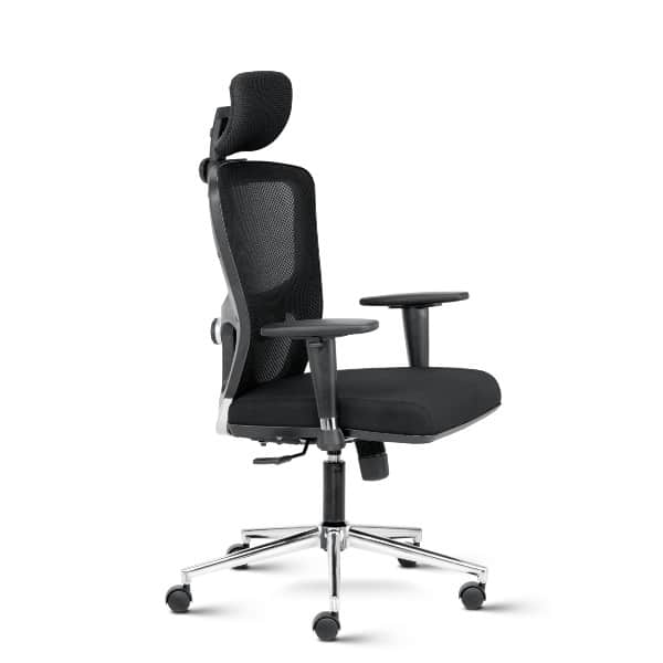 Fluid High Back Ergonomic Chair with adjustable Arms