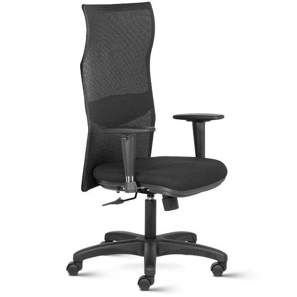 Hello High Back Mesh Ergonomic Chair with adjustable Arms
