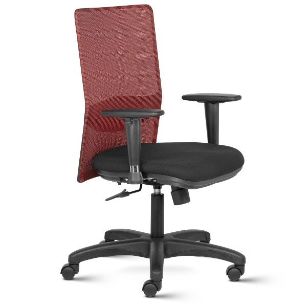 Hello Mid Back Mesh Ergonomic Chair with adjustable Arms