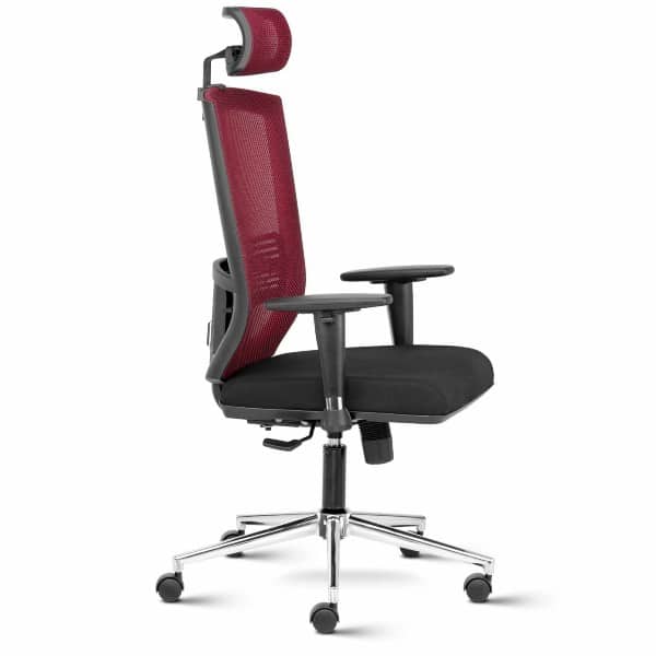 Matrix High Back Mesh Ergonomic Chair with 2D arms