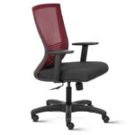 Reflex Mid Back Mesh Ergonomic Computer Chair with Adjustable Arms