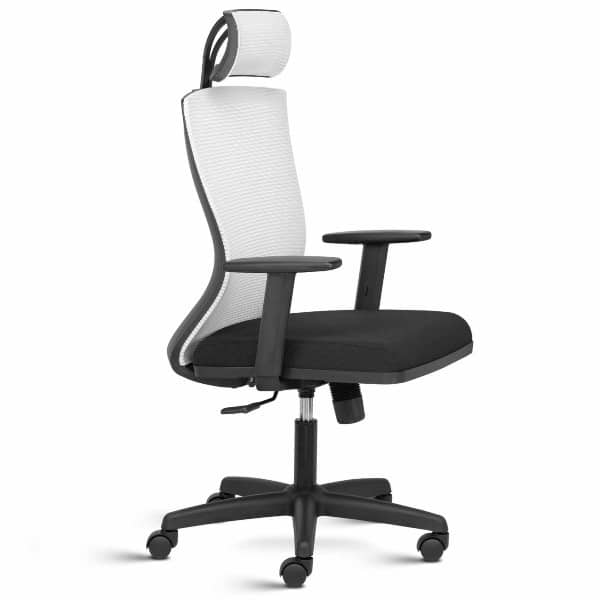 Spark High Back Mesh Ergonomic Chair