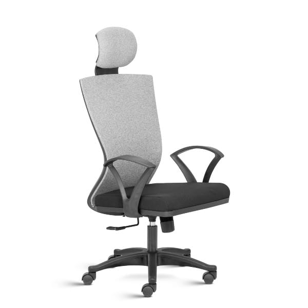 Reflex High Back Ergonomic Chair with Fixed Arms