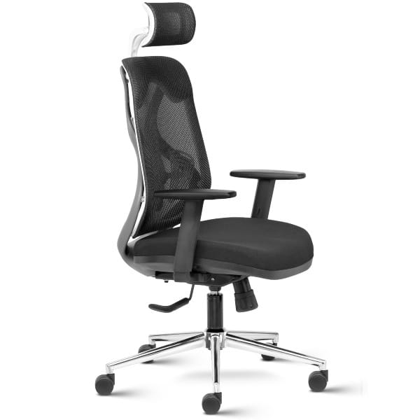 Suit (Grey Frame) High Back Mesh Backrest Ergonomic Chair with adjustable Arms