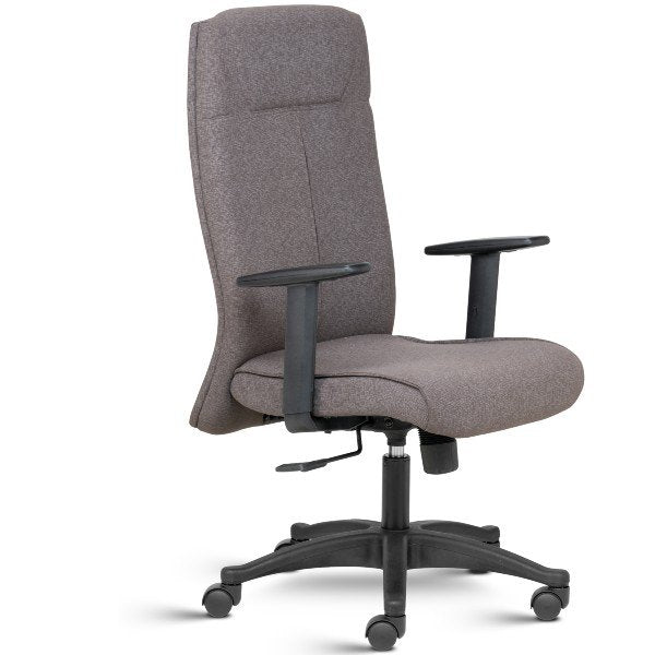 Ritz High Back Fabric upholstered Ergonomic chair with Adjustable arms