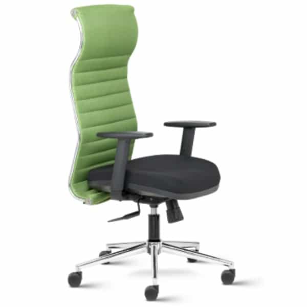 Black Neo High Back Ergonomic Mesh Backrest chair with adjustable arms