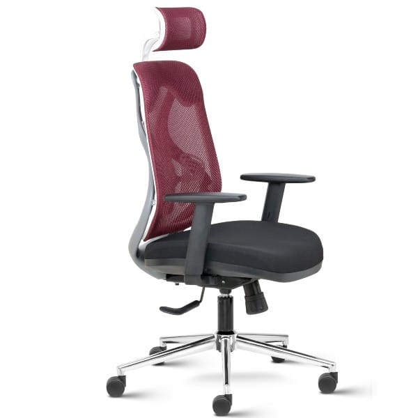 Suit ( Grey Frame ) High Back Mesh Backrest Ergonomic Chair with adjustable Arms
